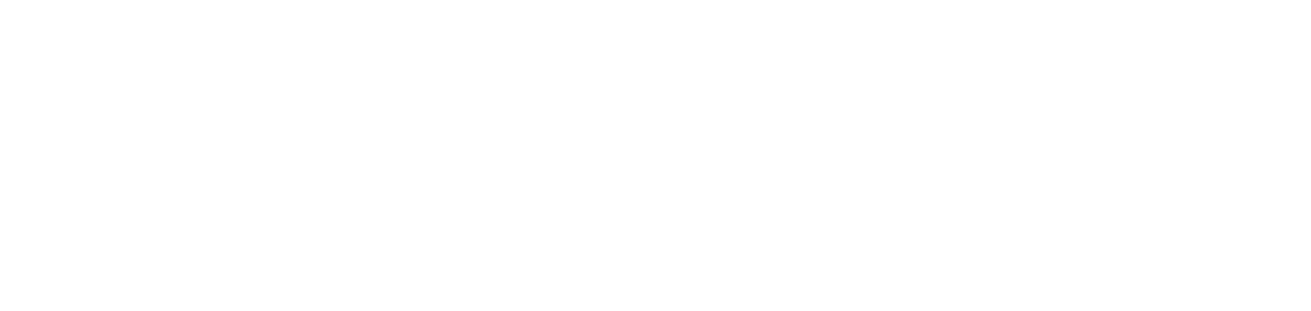 HVM DASH logo